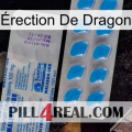 Érection De Dragon new15